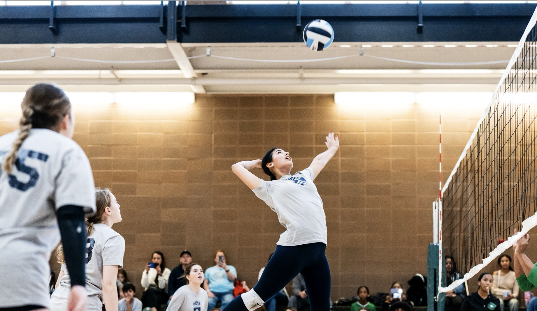 College Volleyball, then what?